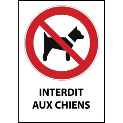 Panneau d'interdiction - Pictogramme Chiens interdits - ISO 7010  - PVC dos adhésif - A5