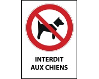 Panneau d'interdiction - Pictogramme Chiens interdits - ISO 7010  - PVC dos adhésif - A4