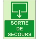 Panneau sécurité - Sortie de Secours 300x250mm - Photoluminescent