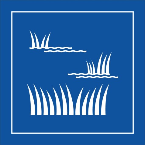 Pictogramme d'information - Pictogramme Zone humide - ISO 7001