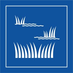 Pictogramme d'information - Pictogramme Zone humide - ISO 7001
