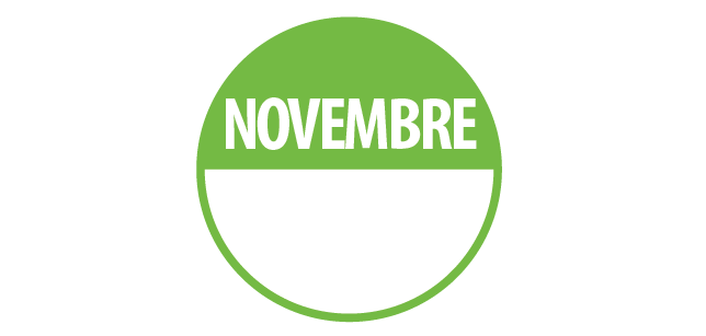 Pastilles d'inventaire "Novembre" Repositionnables - Lot de 500 ex