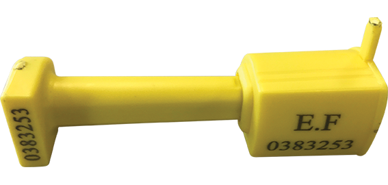 Scellé de sécurité - Clou LOCKI Métal/ABS - Lot de 25 ex