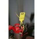 Scellés de Sécurité SEALI - Polypropylène - 250 mm - Lot 100 ex  - Rouge