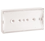 Bloc autonome d'éclairage de sécurité BAES - Anti-panique