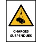 Panneau danger - Charges suspendues - W015 - ISO EN 7010