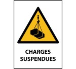 Panneau danger - Charges suspendues - W015 - ISO EN 7010  - PVC dos adhésif - A4