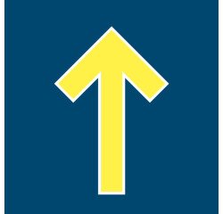 Marquage au sol adhésif - Symbole flèche - 300x200 mm - Lot de 5