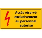 Panneau - Accès Réservé Personnel Autorisé - PVC - ISO 7010  - 297 x 105 mm