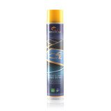 Aérosol Peinture Parking Longue Tenue - époxy - 750ml