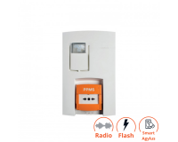 Alarme de Sécurité PPMS - Radio, AGYLUS et flash - NFS 32001