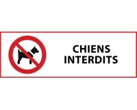 Signalétique d'interdiction - Interdit aux chiens - P021 - ISO 7010  - 297 x 105 mm - PVC