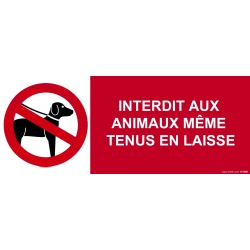 Panneau d'interdiction - Interdit aux Animaux Même Tenus en Laisse  - 210 x 75 mm - vinyle
