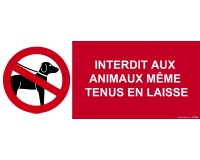Panneau interdiction - Animaux interdits même en laisse  - 210 x 75 mm - vinyle