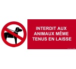 Panneau interdiction - Animaux interdits même en laisse  - 350 x 125 mm - PVC 2 mm