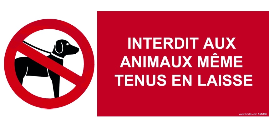 Panneau interdiction - Animaux interdits même en laisse  - 350 x 125 mm - PVC 2 mm
