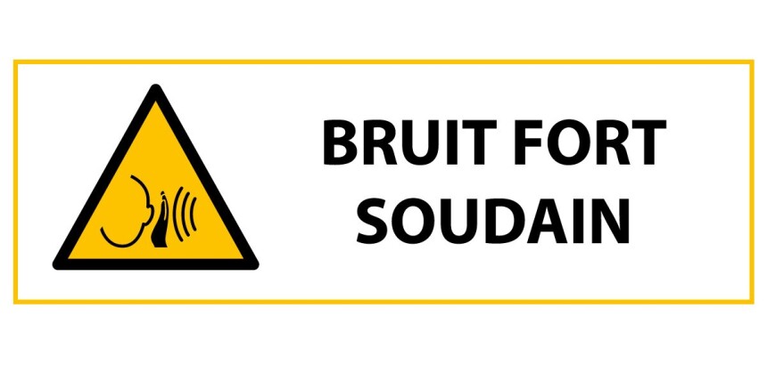 Panneau de Danger ISO 7010 - Bruit fort soudain - W038  - 450 x 150 mm - Vinyle Souple Autocollant