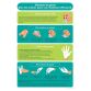 Poster - Bonnes pratiques masques et gants - A4 - Vinyle/PVC  - PVC