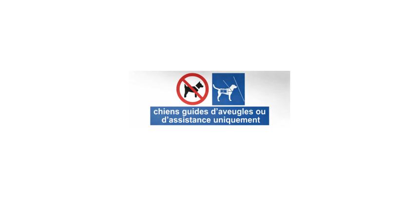 Panneau Chiens guides ou assistance uniquement - 210 x 75 mm