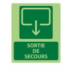 Panneau sécurité - Sortie de Secours 300x250mm - Photoluminescent