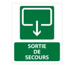 Panneau sécurité - Sortie de Secours 300x250mm - Photoluminescent
