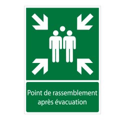 Panneau - Point de rassemblement après évacuation -E007 -ISO 7010  - PVC 2 mm - A4