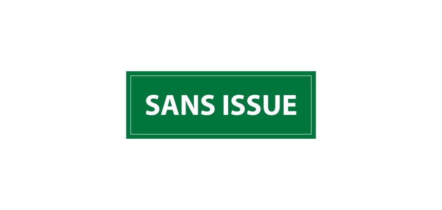 Panneau évacuation Sans Issue - 350 x 125 mm - PVC 2 mm sur maxiburo.fr