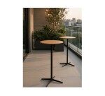 Mange debout bois 60 cm WORA - Reconditionné