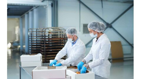 Equipos de Protección para Industria Alimentaria | Bruneau