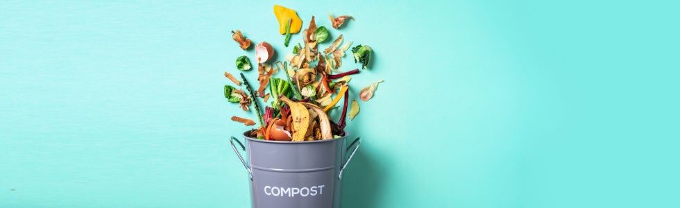 Loi sur les biodéchets 2024