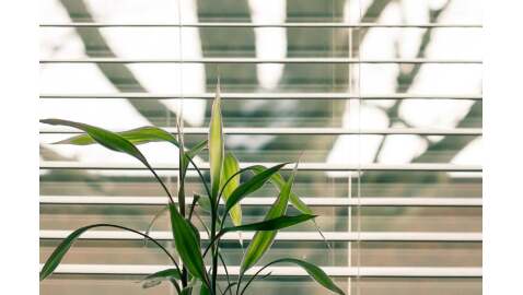 Lavorare green: come ridurre l'impatto ambientale del proprio lavoro
