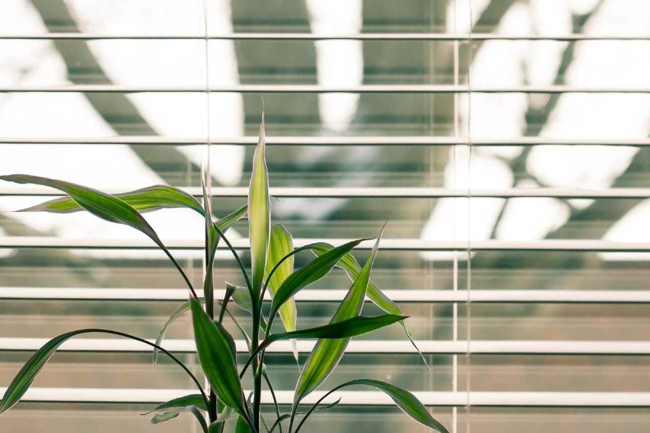 Lavorare green: come ridurre l'impatto ambientale del proprio lavoro