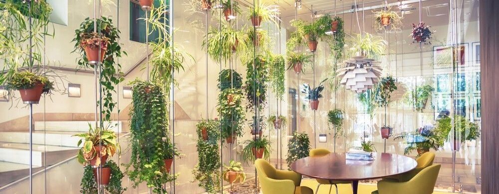 Avere uno spazio verde in ufficio crea benessere?
