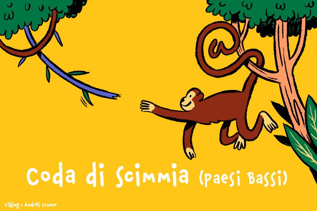 Coda di scimmia (Paesi Bassi)