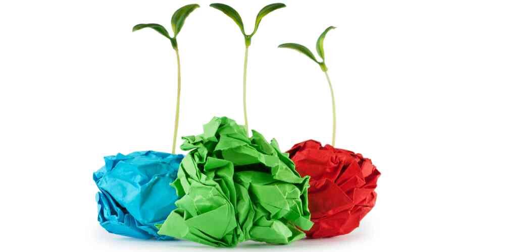 Palle di carta riciclata che fanno crescere nuove piante
