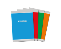 Cahier Conquerant Classique Agrafe 210X297 48P 90G Seyes Assorti