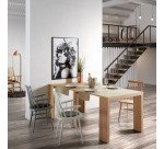 Chaise avec accoudoirs Tressia