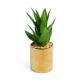 Plante artificielle Agave