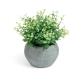Eucaliptus artificial plant in grey pot