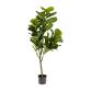 Ficus artificial 150 cm