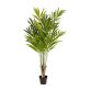 DE_Plante artificielle Palmera en bambou de 170 cm