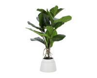 Planta artificial Lyrata con maceta de cerámica blanco 60 cm