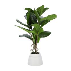 Planta artificial Lyrata con maceta de cerámica blanco 60 cm