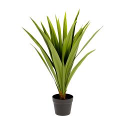 Yucca artificielle Zelena