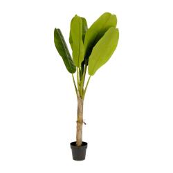 Planta artificial Banano con maceta negro 160 cm