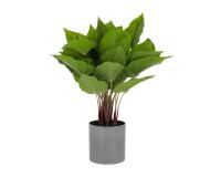 Planta artificial Anthurium con maceta de cemento 50 cm