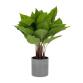 Planta artificial Anthurium con maceta de cemento 50 cm