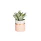 Agave attenuata artificial plant