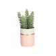 Plante artificielle Sedum lucidum en pot en céramique rose