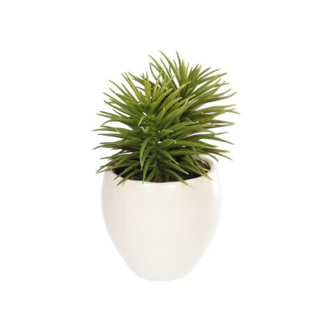 Kunstplant Pino met witte keramische plantenbak 16 cm